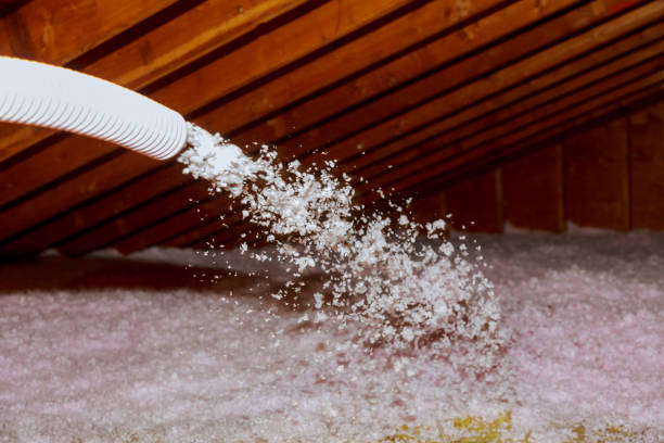 Best Insulation Maintenance and Repair in Four Square Mile, CO