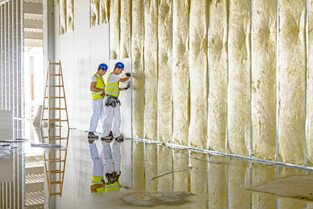 Best Commercial Insulation in Four Square Mile, CO